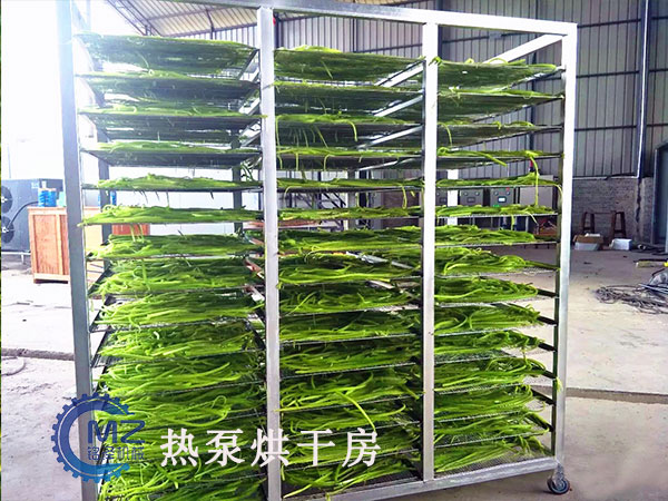 豆角热泵烘干房客户现场
