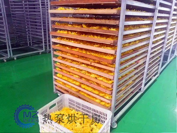 菊花烘干房客户现场